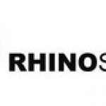 Rhinostone ( Audit & Conseil ) 