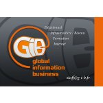 Global Information Business