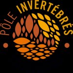 Pole-invertebre