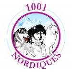 1001-nordiques.com