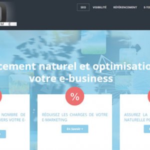 SEO Système