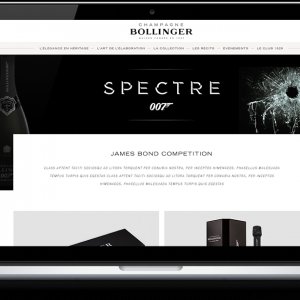 Bollinger Champagne luxe