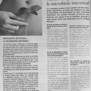 Titre de la création