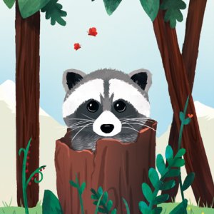 Racoon