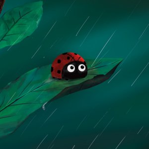 Rainy night