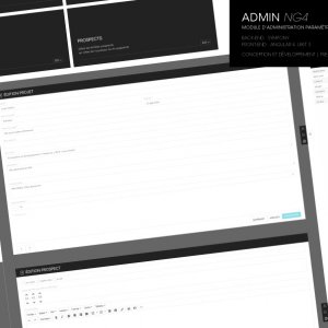 Admin NG4