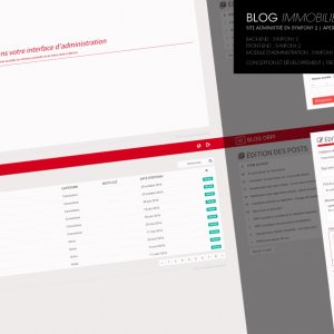 Blog Immobilier Orpi - aperçu back-end