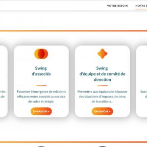 Web App Everswing