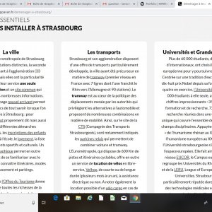 Une des pages écrites pour le site European Moving