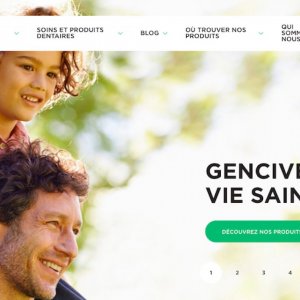 Gestion de campagnes Google Ads + SEO pour Sunstar GUM France