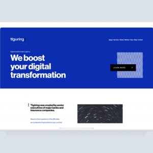 Tiguring - Création de site internet