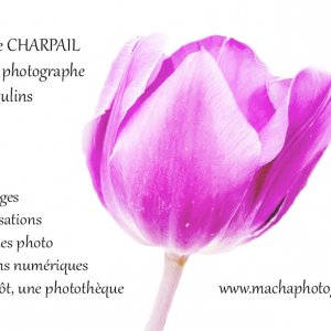 prestations