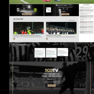Angers-sco