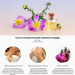 Site Web Laurence Le Gall