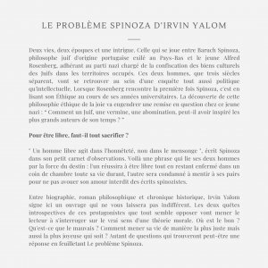 Le Problème Spinoza d'Irvin Yalom