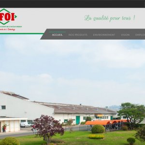 Sfoi