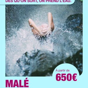 Affiche Aéroports de Lyon 1