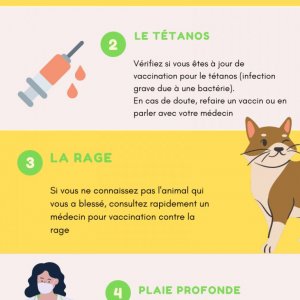 Pharmacie - Animaux