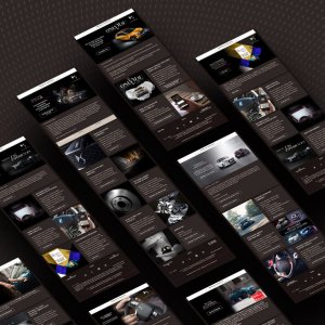 DS - Newsletters