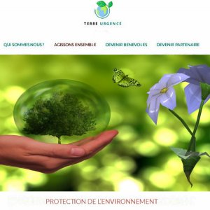 Création site design