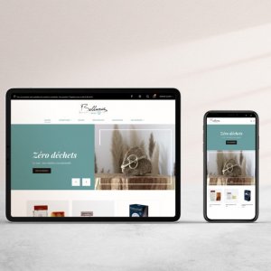 Création d'un site e-commerce WordPress.