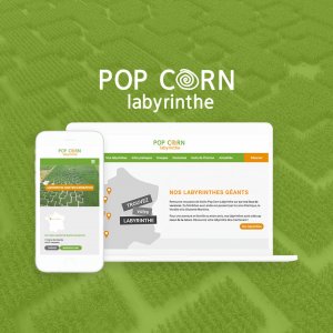 Site internet, Billetterie et Intranet WordPress