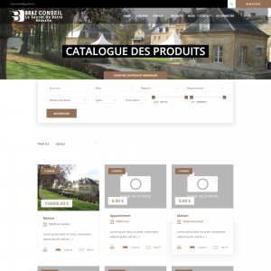 Braz Conseil