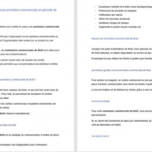 Animation commerciale période de fête
