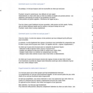 Article de blog