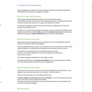 Article de blog