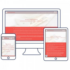 Refonte Site Vitrine / Responsive Design / Drupal 9