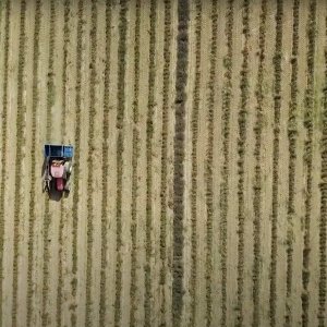 Réalisation d'un clip d'entreprise