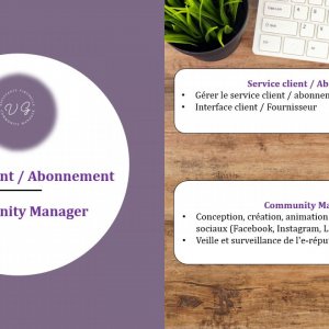 Mes compétences