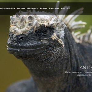 Antoine Louvel