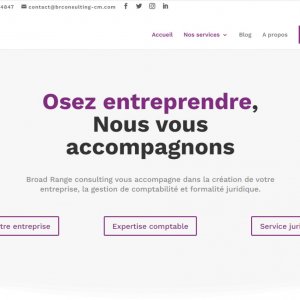 Brc consulting