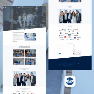 BLUE CONSULTING