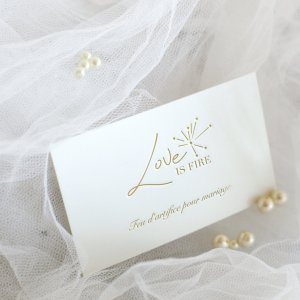 Love is fire - Création de logo
