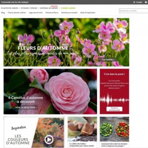 Rédactrice Web pour Promesse de Fleurs