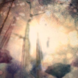 Au premier jour de l'hiver - visuel