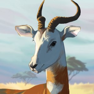 Gazelle