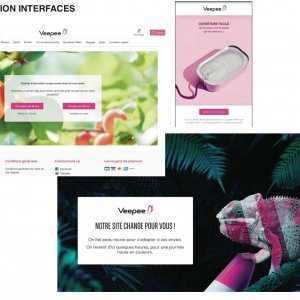 Communication Marketing Interfaces