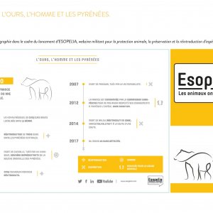 Esopelia.