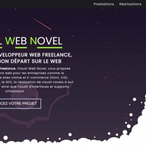 Site web vitrine pour Visualwebnovel.com (codé intégralement)