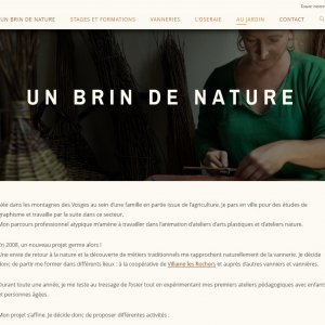 Un brin de nature - L'osier au fil des saisons...
