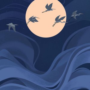 Vol des hérons