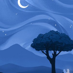 La nuit des étoiles