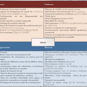 SWOT