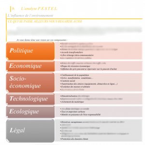 PESTEL (2)