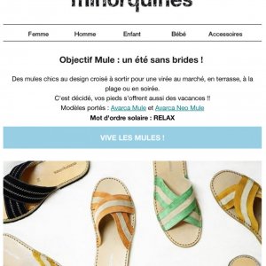 Newsletter Minorquines
