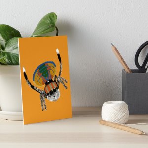 Illustration pour boutique Redbubble